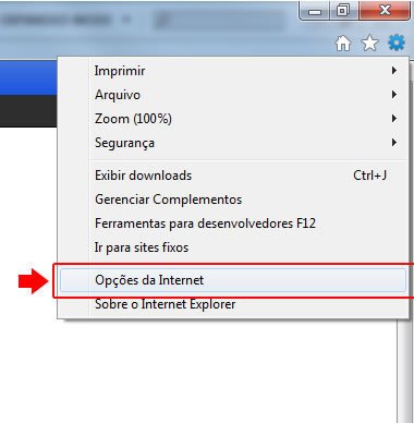 Limpe o cache e os cookies do Internet Explorer
Atualize seu navegador para a versão mais recente
